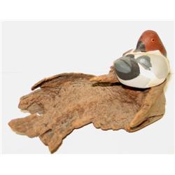 CANVASBACK CARVING