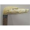 Image 2 : CARVED IVORY GREYHOUND CANE