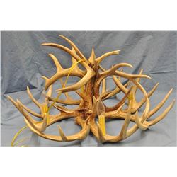 Deer antler hanging light fixture, 41 lights, 28" w x 15" h