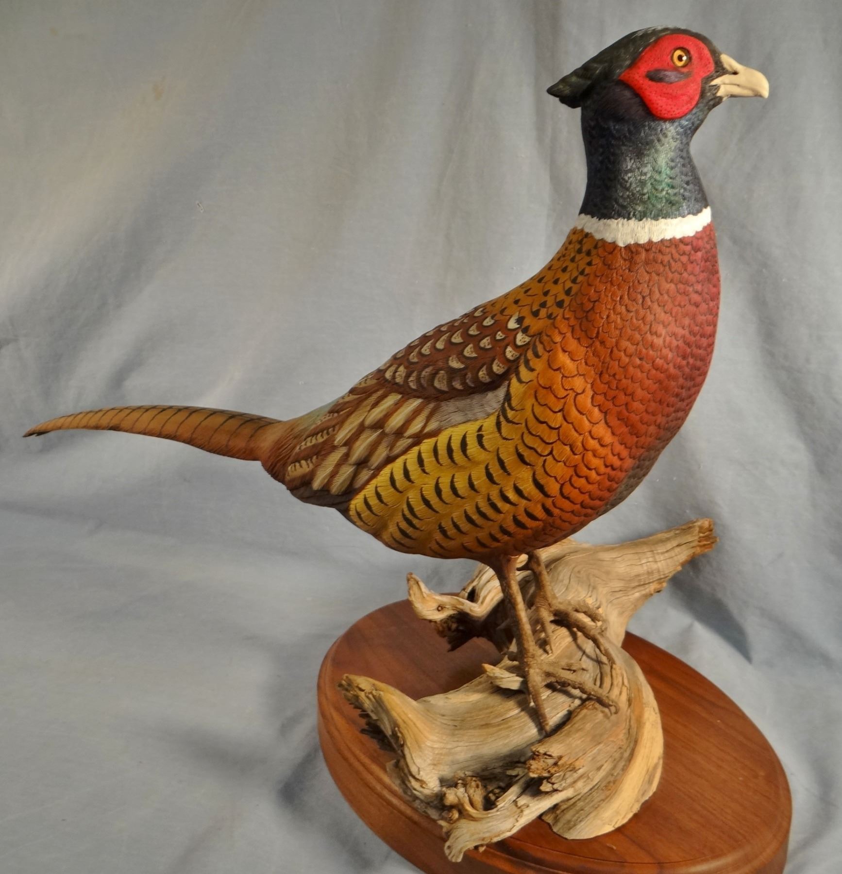 Tveten, Connie, Ringneck Pheasant lifesize wood carving, 19" h x 28" w