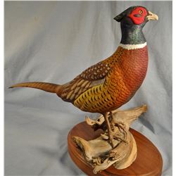 Tveten, Connie, Ringneck Pheasant life-size wood carving, 19" h x 28" w