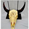 Image 1 : Cheek, C. R. original pen and ink on buffalo skull