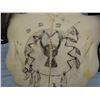 Image 3 : Cheek, C. R. original pen and ink on buffalo skull