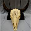 Image 4 : Cheek, C. R. original pen and ink on buffalo skull