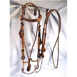 Hitched horsehair bridle