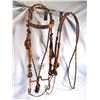 Image 1 : Hitched horsehair bridle