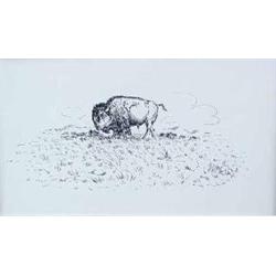 William Rains, Pen and Ink