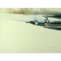 Stephen C. Elliott, Watercolor