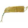 Image 2 : Plains Beaded Knife Sheath
