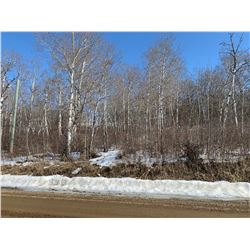 425 Country Club Drive