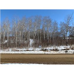 413 Country Club Drive