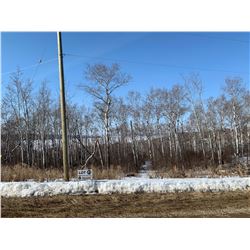 368 Prairie Lake Bay