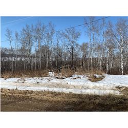 366 Prairie Lake Bay