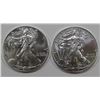 Image 1 : 2000 & 2013 AMERICAN SILVER EAGLES
