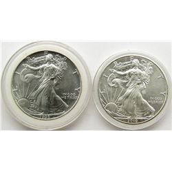 2010 & 1993 AMERICAN SILVER EAGLES