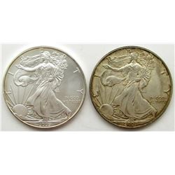 2007 & 2006 AMERICAN SILVER EAGLES