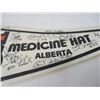 Image 3 : HOCKEY PENNANT (MEDICINE HAT TIGERS) *1990s?*