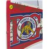 Image 2 : HOCKEY PENNANT (PRINCE GEORGE COUGARS) *1994-95*