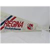 Image 3 : HOCKEY PENNANT (REGINA PATS) *1991-92*