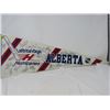 Image 1 : HOCKEY PENNANT (LETHBRIDGE HURRICANES 1991-92)