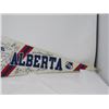 Image 3 : HOCKEY PENNANT (LETHBRIDGE HURRICANES 1991-92)