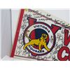 Image 2 : HOCKEY PENNANT (VICTORIA COUGARS 1992-92)