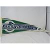 Image 1 : HOCKEY PENNANT (SEATTLE THUNDERBIRDS) *1991-92*