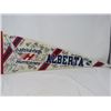 Image 1 : HOCKEY PENNANT (LETHBRIDGE HURRICANES 1994-95)