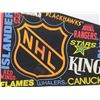 Image 2 : HOCKEY PENNANT (NHL TEAM BANNER) *1991-92*