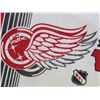 Image 2 : HOCKEY PENNANT (KELOWNA WINGS)
