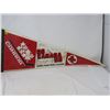 Image 1 : HOCKEY PENNANT (GO CANADA GO) *CANADA AMATEUR HOCKEY ASSOCIATION* *1991 PHOENIX CUP*