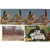 Image 3 : LOT OF 15 POSTCARDS (ASSORTED WILDLIFE THEMES)