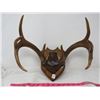 Image 1 : SET OF MOUNTED ANTLERS