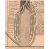 Image 5 : 1806 AMOS DOOLITTLE Engraved Broadside: An Epitome of Ecclesiastical History