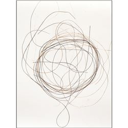 10,000 Years Old Authentic Woolly Mammoth Hair from perma frost, Taimyr Siberia