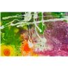 Image 3 : Helen Frankenthaler American Abstract Oil on Canva