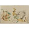 Image 1 : Watercolor on paper Flowers and Lotus Roots