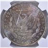 Image 3 : 1884-O MORGAN DOLLAR NGC MS-62