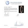 Image 4 : 1.55 ctw Diamond Bangle Bracelet - 18KT White Gold