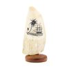 Image 3 : Whale Tooth Scrimshaw by Doug Fine