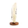 Image 4 : Whale Tooth Scrimshaw by Doug Fine