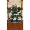 Image 1 : 2 Large Potted Faux Palm Trees 6'H