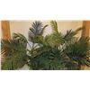 Image 2 : 2 Large Potted Faux Palm Trees 6'H