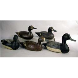 A MISCELLANEOUS GROUP OF BLUE BILL HEN AND DRAKE DECOYS
