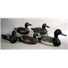 Image 1 : A MISCELLANEOUS GROUP OF BLUE BILL HEN AND DRAKE DECOYS