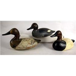 TWO CANVASBACK DRAKE DECOYS