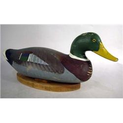 A PAINT-DECORATED MALLARD DRAKE