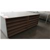 Image 2 : Large White Work Station