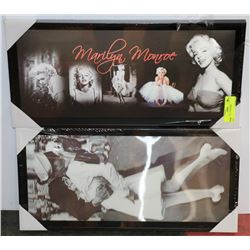 GROUP OF 2 3-D PICTURES