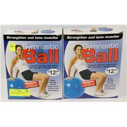 LOT OF 2 GYMNASTIC BALLS